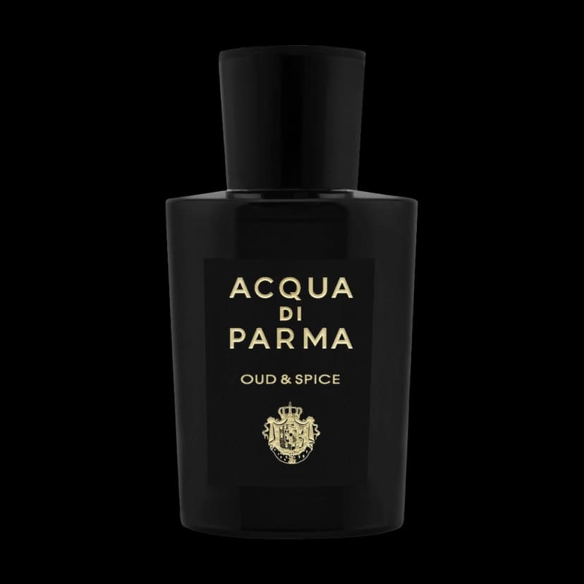 OUD & SPICE (2 мл)
